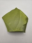 Mens Pocket Square Olive Vtg Retro Wedding Pre-Loved Vintage Poly 8''-10''